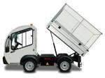 Goupil G3 Tipper 2008 года